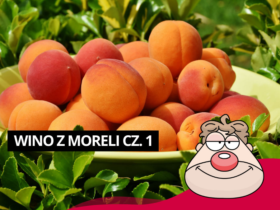 Przepis na domowe wino z moreli
