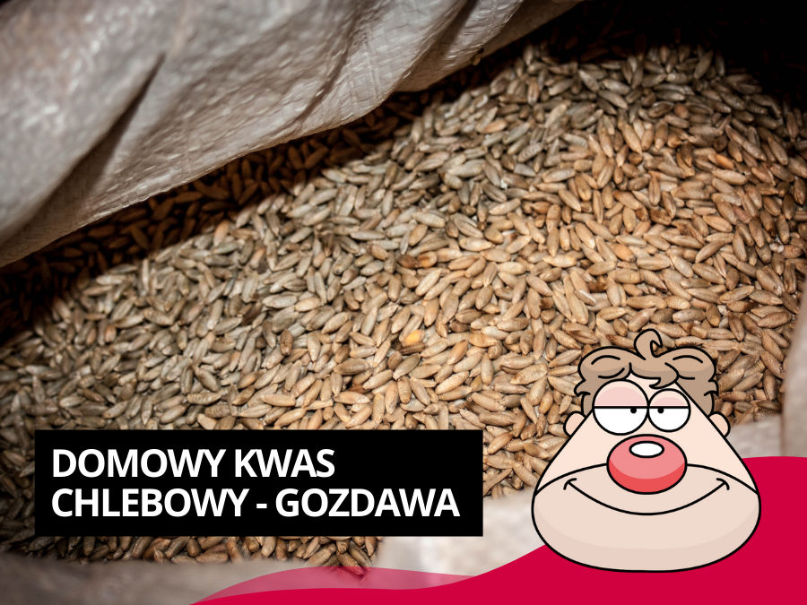 Domowy Kwas Chlebowy - Gozdawa