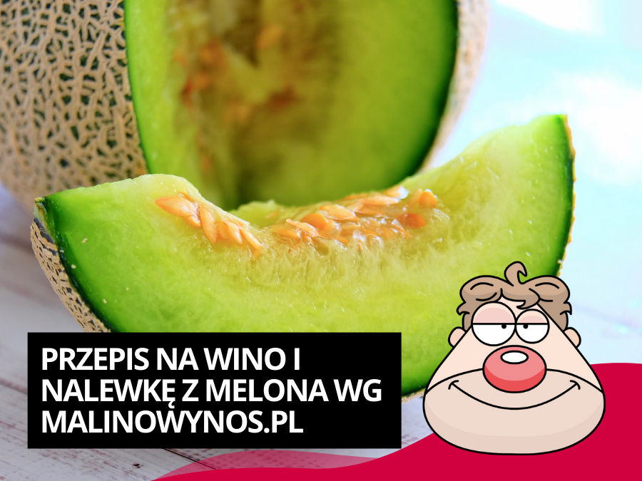 Przepis na wino i nalewkę z melona wg Malinowynos.pl
