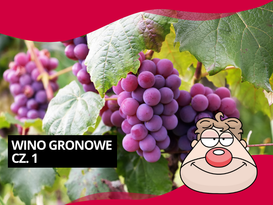 Wino winogronowe na dwa sposoby!
