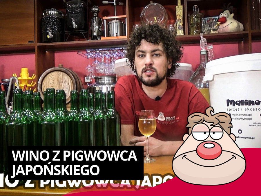 Wino z Pigwowca Japońskiego