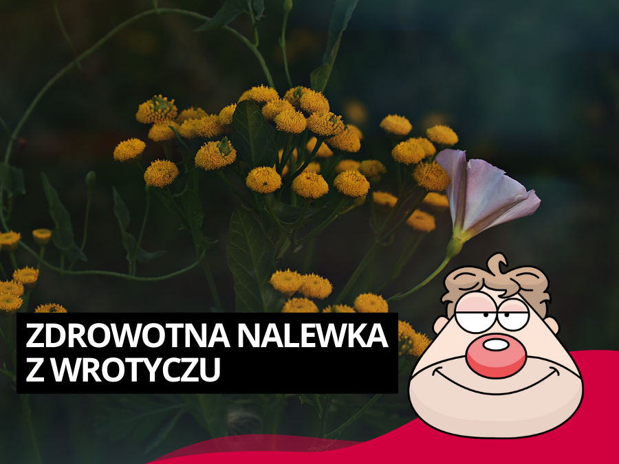 Zdrowotna nalewka z wrotyczu, przepis wg Malinowyns.pl