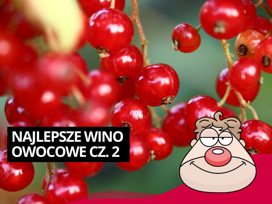 Najlepsze Wino owocowe - porzeczkowo-agrestowe, porzeczkowe, agrestowe. Część 2.
