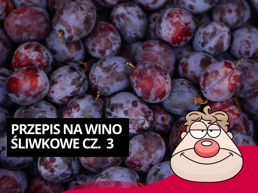Przepis na wino śliwkowe część 3