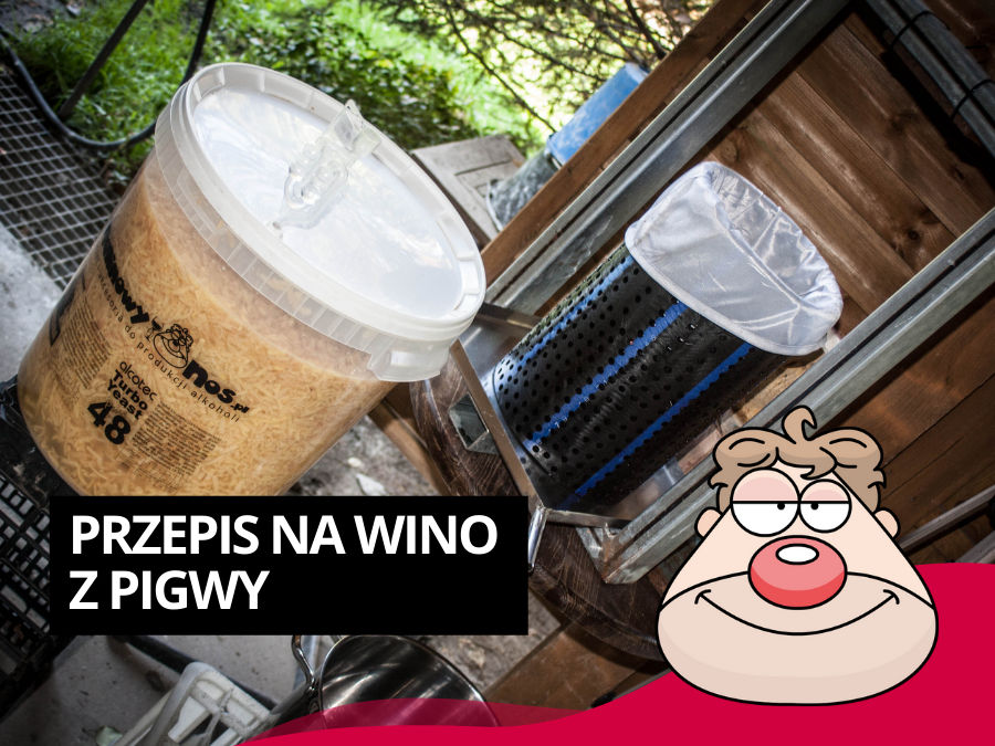 Przepis na wino z pigwy wg Malinowynos.pl
