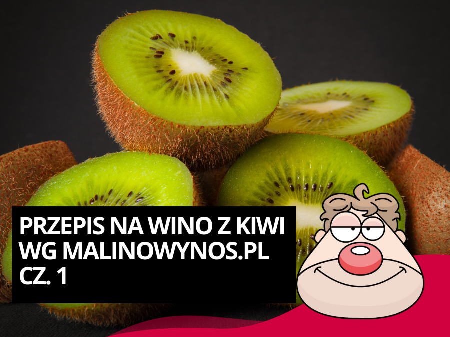 Przepis na wino z kiwi wg Malinowynos.pl część 1