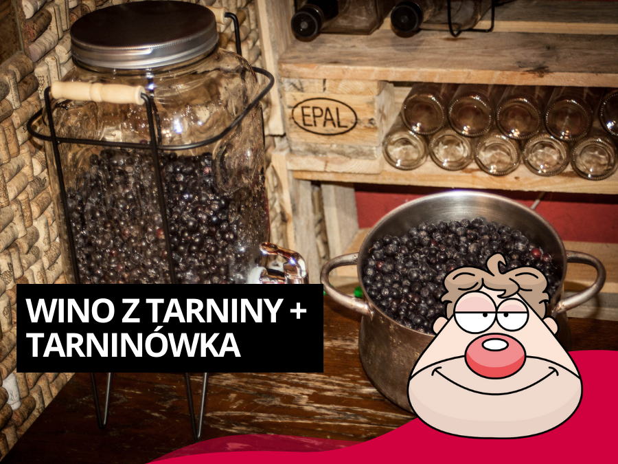 Wino z tarniny + Tarninówka (nalewka z Tarniny)