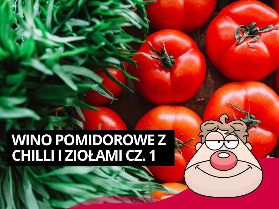 Wino pomidorowe z chilli i ziołami - przepis cz. 1