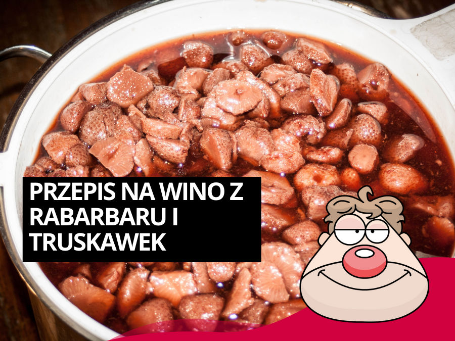 Przepis na wino z rabarbaru i truskawek wg Malinowynos.pl