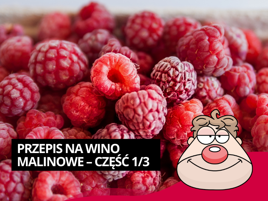 Przepis na wino malinowe – część 1/3