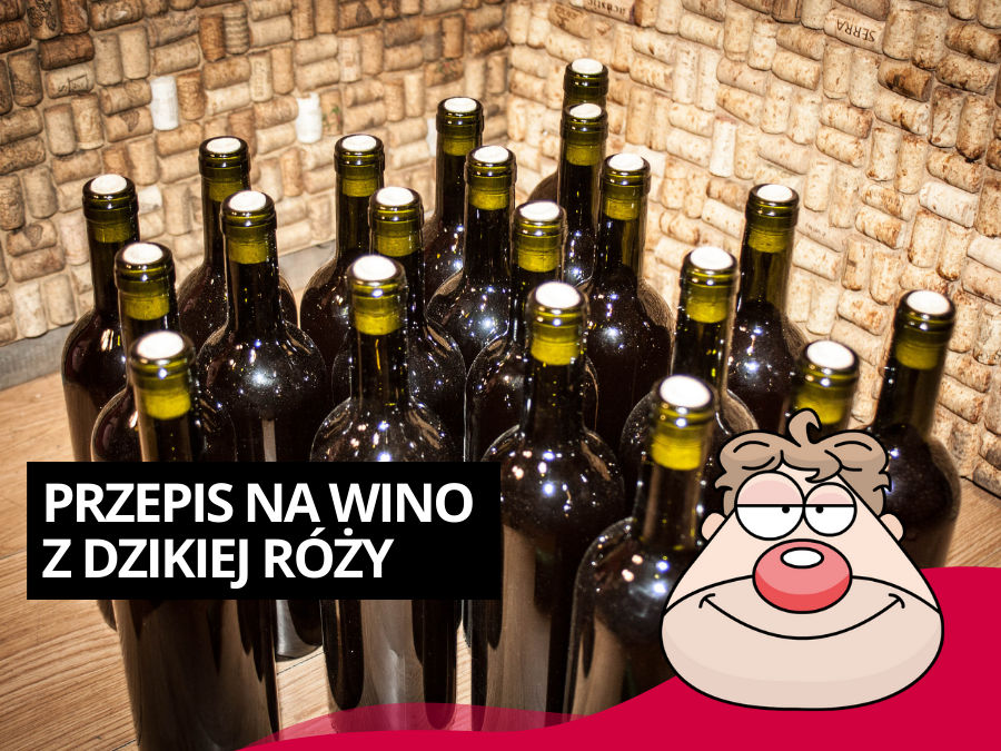 Przepis na wino z dzikiej róży wg Malinowynos.pl