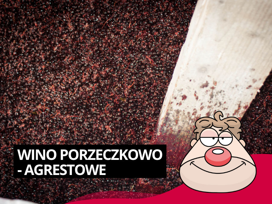 Wino porzeczkowo-agrestowe - prosty przepis :)