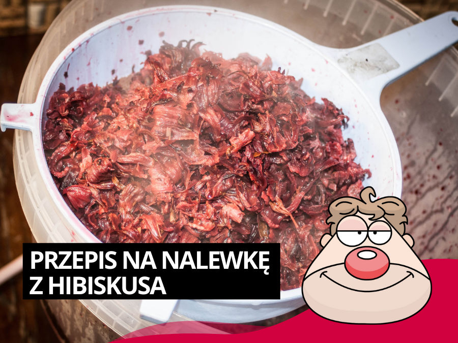 Przepis na nalewkę z Hibiskusa wg Malinowynos.pl (3litry - ok 30%)