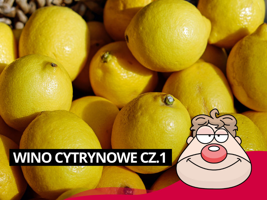 Wino Cytrynowe cz.1 – eksperyment