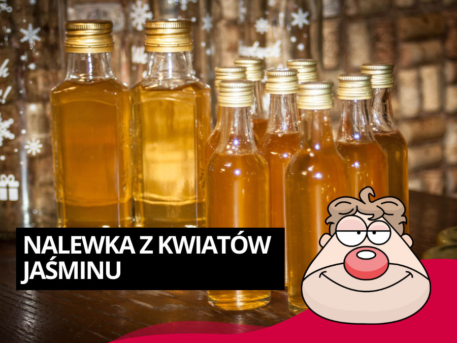 Nalewka z kwiatów jaśminu (jaśminówka) - przepis