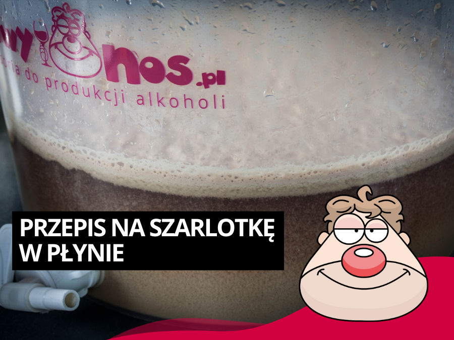 Przepis na Szarlotkę w płynie :) Nalewka jabłkowa